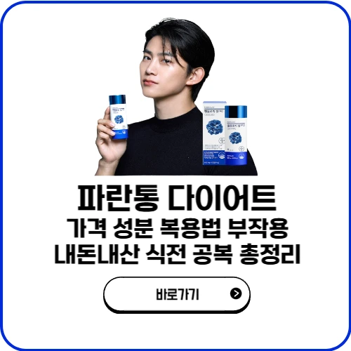 파란통 다이어트 가격 성분 복용법 부작용 내돈내산 식전 공복