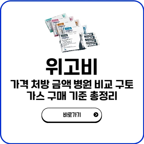 위고비 가격 처방 금액 병원 비교 구토 가스 구매 기준